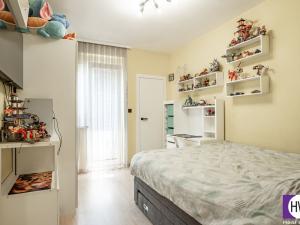 Prodej bytu 4+kk, Praha, Soběslavská, 115 m2