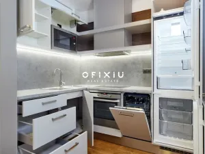 Pronájem bytu 1+kk, Brno - Staré Brno, Kopečná, 39 m2
