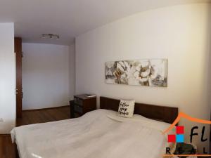 Pronájem bytu 2+kk, Ostrava, Na Baranovci, 55 m2