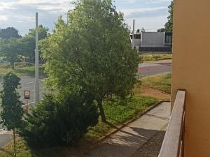 Pronájem bytu 2+kk, Ostrava, Na Baranovci, 55 m2
