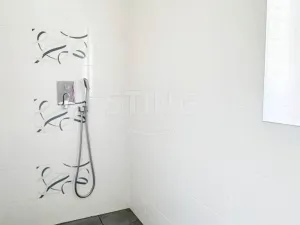 Prodej rodinného domu, Dětmarovice, 350 m2