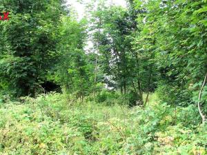 Prodej zahrady, Krompach, 1001 m2