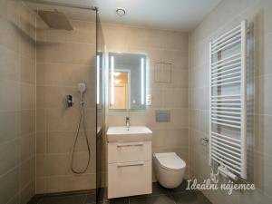 Pronájem bytu 2+kk, Praha - Smíchov, Holečkova, 60 m2