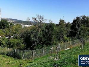 Prodej zahrady, Brno - Židenice, Rokytova, 329 m2