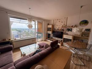 Pronájem bytu 1+kk, Olomouc - Nová Ulice, Horní lán, 41 m2