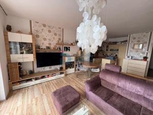 Pronájem bytu 1+kk, Olomouc - Nová Ulice, Horní lán, 41 m2