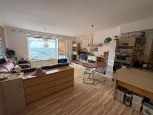 Pronájem bytu 1+kk, Olomouc - Nová Ulice, Horní lán, 41 m2