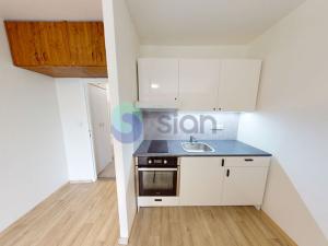 Pronájem bytu 1+kk, Ostrava - Zábřeh, Čujkovova, 28 m2