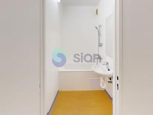 Pronájem bytu 1+kk, Ostrava - Zábřeh, Čujkovova, 28 m2