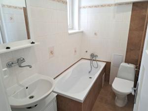 Prodej bytu 1+1, Teplice, Masarykova třída, 50 m2