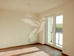 Pronájem bytu 1+kk, Plzeň, U Velkého rybníka, 34 m2
