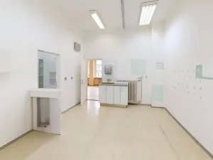 Pronájem obchodního prostoru, Ostrava, Jugoslávská, 99 m2