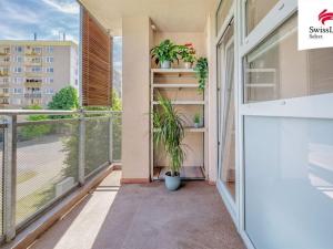 Prodej bytu 3+kk, Plzeň, Brněnská, 79 m2