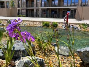 Pronájem bytu 1+kk, Brandýs nad Labem-Stará Boleslav - Brandýs nad Labem, Dřevčická, 42 m2