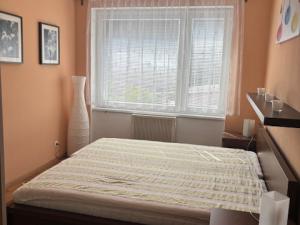 Pronájem bytu 4+1, Hořice, Šalounova, 73 m2