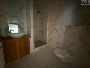 Pronájem rodinného domu, Bílina - Teplické Předměstí, Teplická, 290 m2