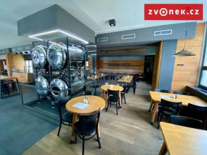 Prodej obchodního prostoru, Holešov, Novosady, 500 m2