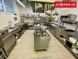 Prodej obchodního prostoru, Holešov, Novosady, 500 m2