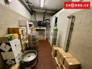 Prodej obchodního prostoru, Holešov, Novosady, 500 m2