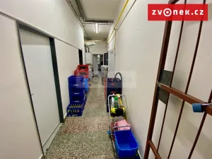 Prodej obchodního prostoru, Holešov, Novosady, 500 m2