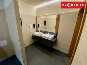 Prodej obchodního prostoru, Holešov, Novosady, 500 m2