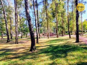 Prodej bytu 1+1, Žďár nad Sázavou, Palachova, 32 m2