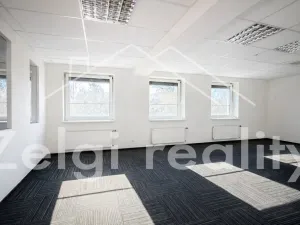 Pronájem skladu, Brno, 1400 m2