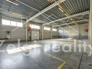 Pronájem kanceláře, Brno, 600 m2