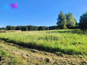 Prodej pozemku pro bydlení, Petrovice u Karviné - Dolní Marklovice, 1500 m2