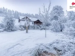 Prodej ubytování, Holčovice - Jelení, 298 m2