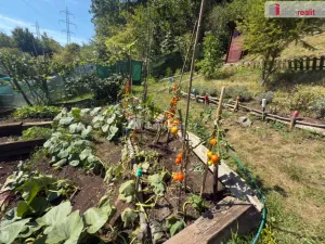 Pronájem zahrady, Ústí nad Labem - Mojžíř, Horní, 693 m2