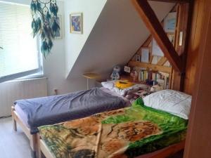 Pronájem pokoje, Tachov, Máchova, 15 m2