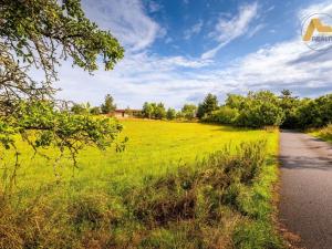 Prodej pozemku pro bydlení, Předotice - Třebkov, 1225 m2