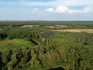 Prodej kanceláře, Vacenovice, Dolní Konec, 692 m2