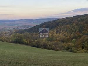 Prodej lesa, Ždánice, 3224 m2