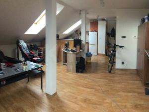 Pronájem bytu 2+kk, Plzeň - Jižní Předměstí, Borská, 49 m2