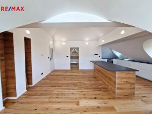 Pronájem bytu 6+kk a větší, Praha - Braník, Branická, 335 m2