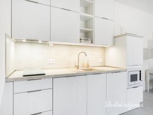 Pronájem bytu 1+kk, Brandýs nad Labem-Stará Boleslav - Stará Boleslav, Hlavenecká, 38 m2