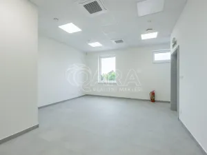 Pronájem skladu, Divišov, 2398 m2