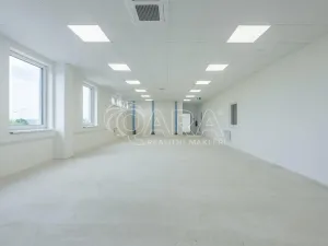 Pronájem skladu, Divišov, 2398 m2