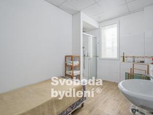 Prodej ubytování, Srbice, 879 m2