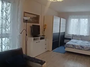 Pronájem bytu 1+1, Nejdek, Okružní, 50 m2