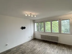 Pronájem bytu 1+kk, Hradec Králové - Slezské Předměstí, Severní, 28 m2