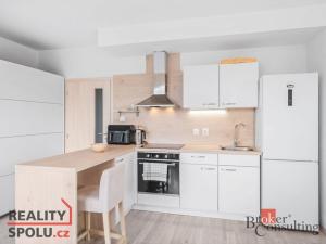 Prodej bytu 1+kk, Heřmanova Huť - Vlkýš, U Pondu, 35 m2