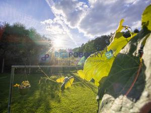 Prodej rodinného domu, Rosička, 126 m2