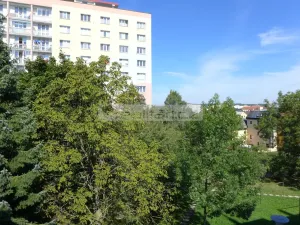 Prodej bytu 2+1, Plzeň - Doubravka, Železničářská, 63 m2