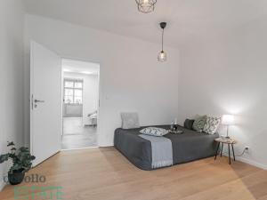 Pronájem bytu 1+kk, Praha, Zelenky-Hajského, 24 m2