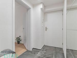 Pronájem bytu 1+kk, Praha, Zelenky-Hajského, 24 m2