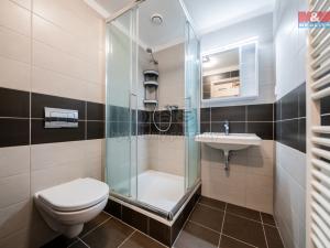 Prodej bytu 1+1, Rosice, 25 m2