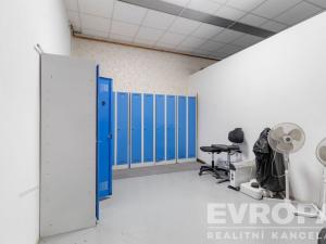 Pronájem skladu, Havlíčkův Brod, okres havlíčkův brod, 8000 m2